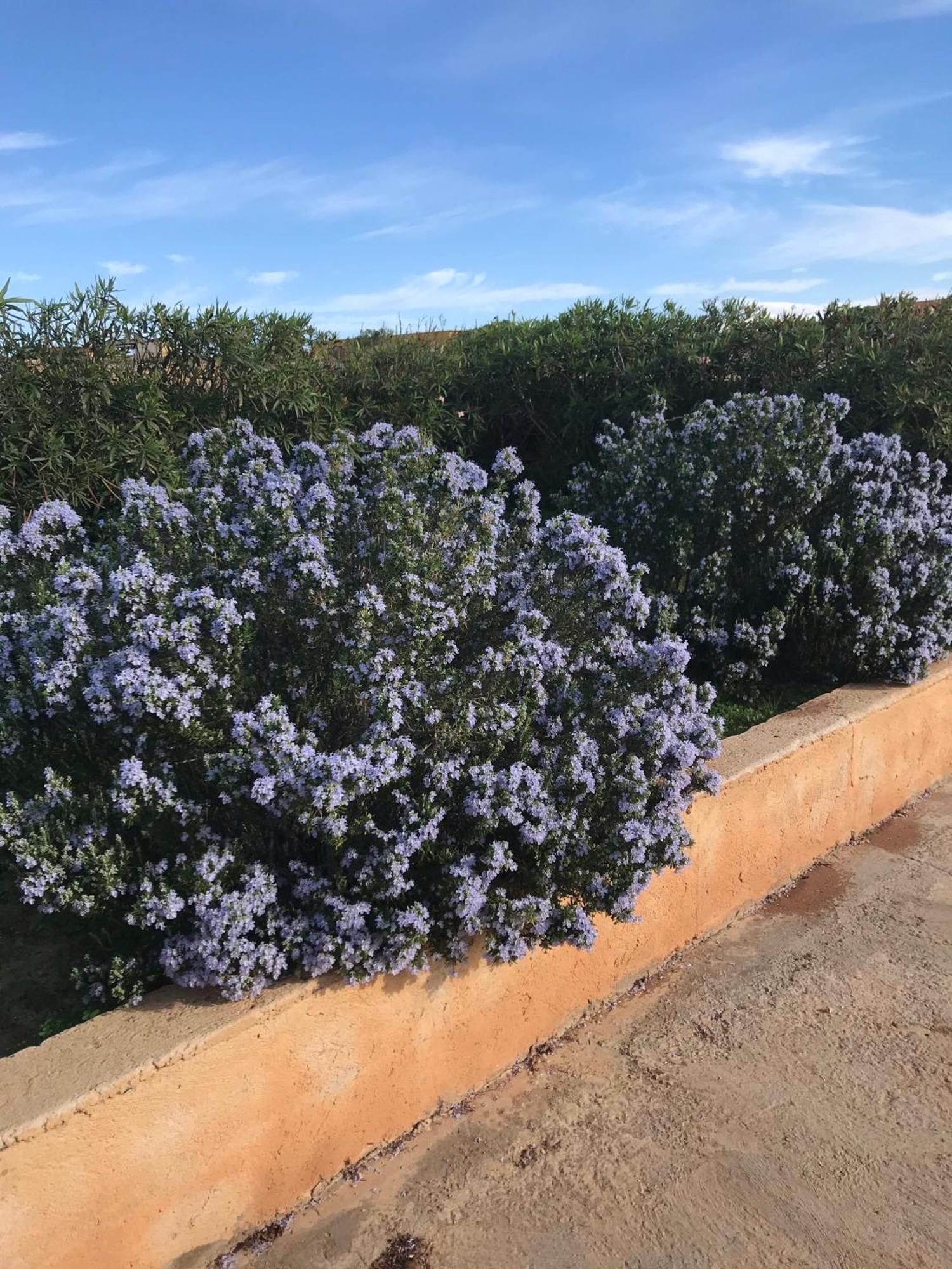 Dammuso Villa Lampedusa Eksteriør billede